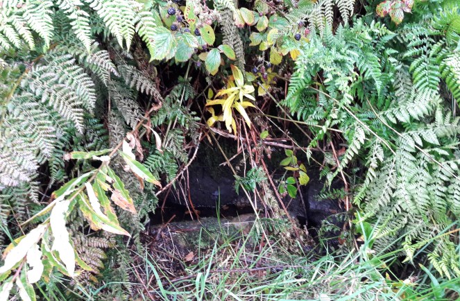 Carr House Lane - Well