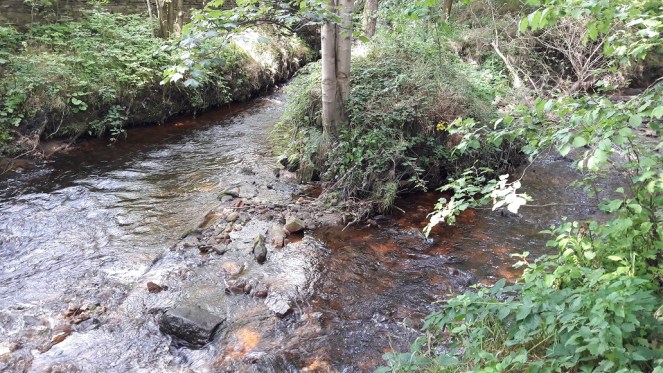 Glossop Brook 2