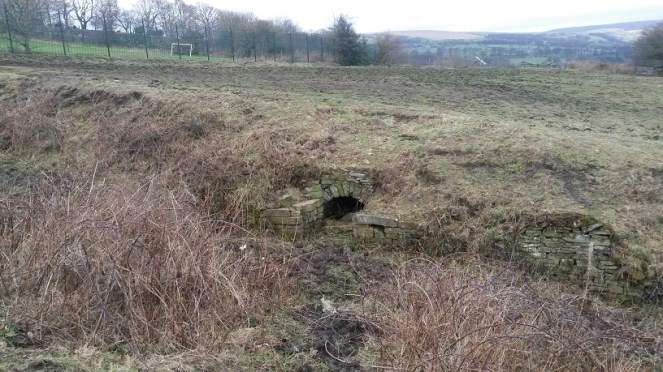 Mottram Wells - Daniel Well 1