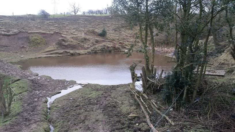 Mottram Wells - Pond