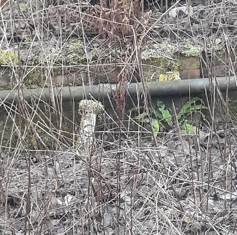 Guide Bridge Posts 3