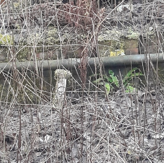 Guide Bridge Posts 3