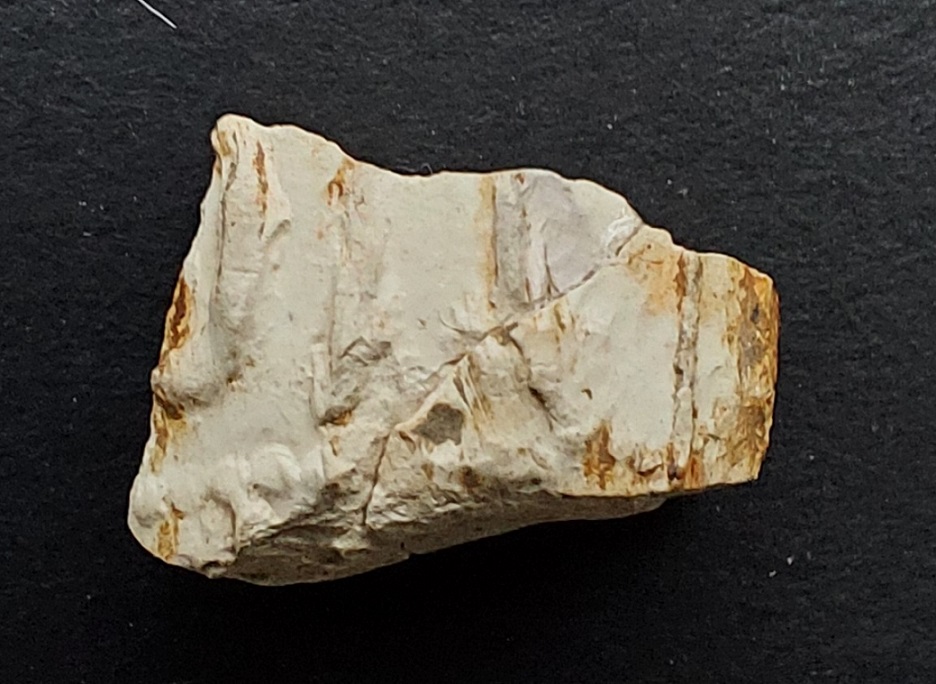6 – The Glossop Cabinet of Curiosities
